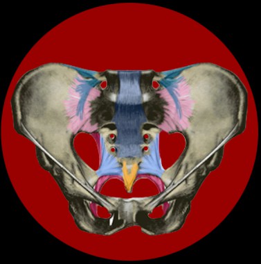 Impressionen unserer Arbeit